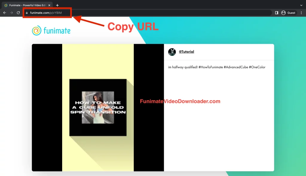 Funimate Video Downloader Copy Address bar